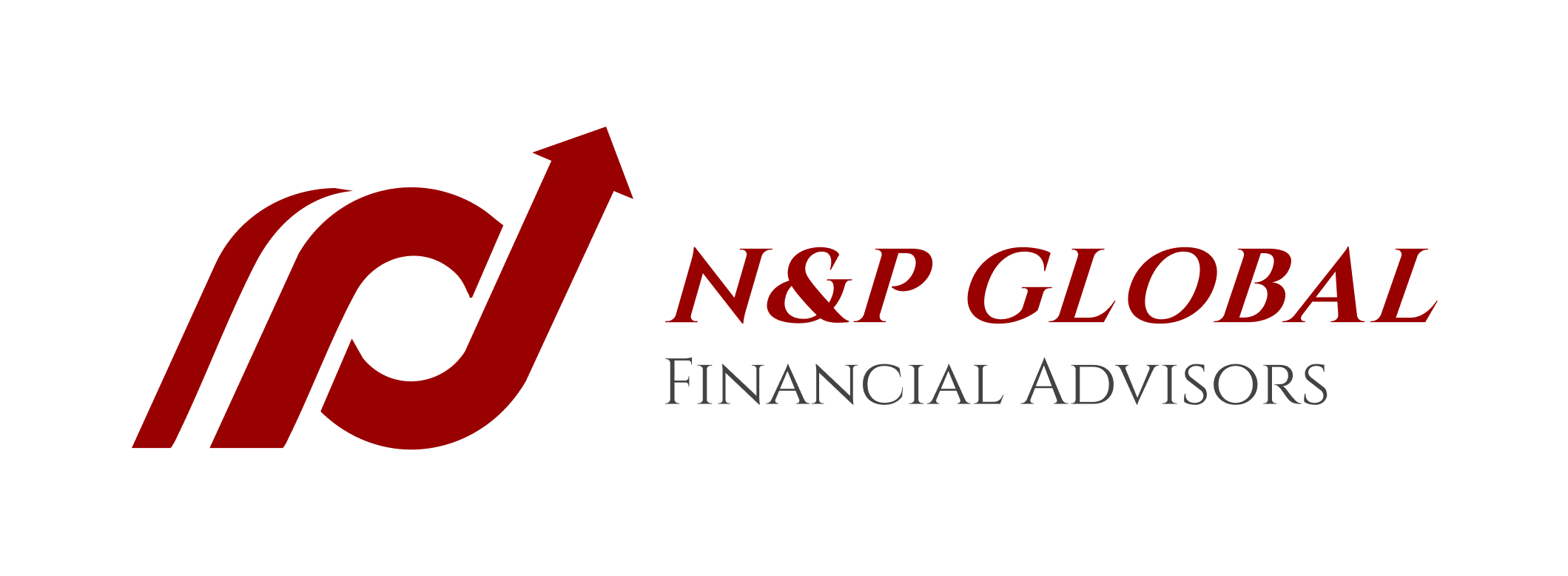 n&p global final logo png